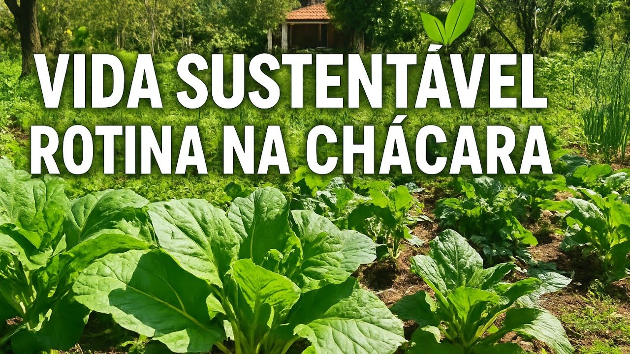 Vida Sustentável: Rotina na Chácara | Desenvolvimento das Plantas e Contato com a Natureza