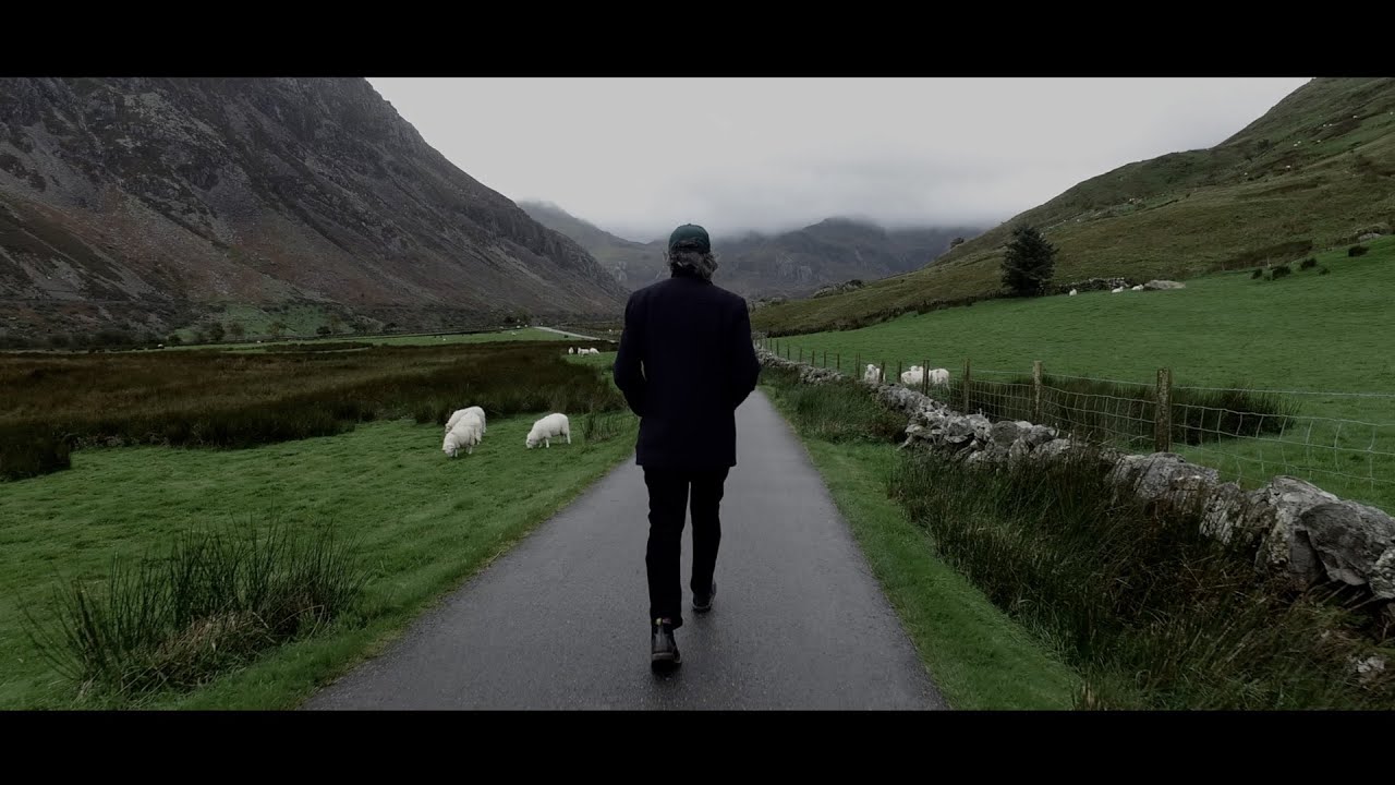 Gruff Rhys - Bad Friend (Official Video)