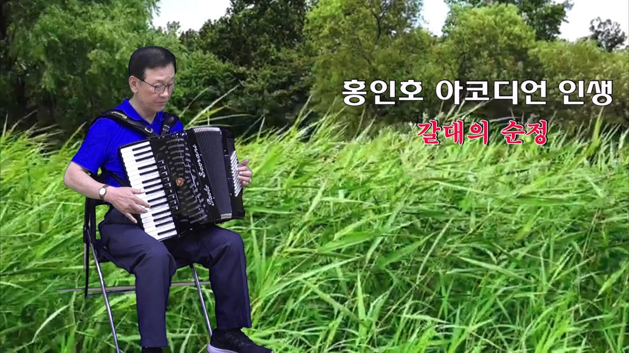 홍인호 아코디언 인생 [갈대의 순정]