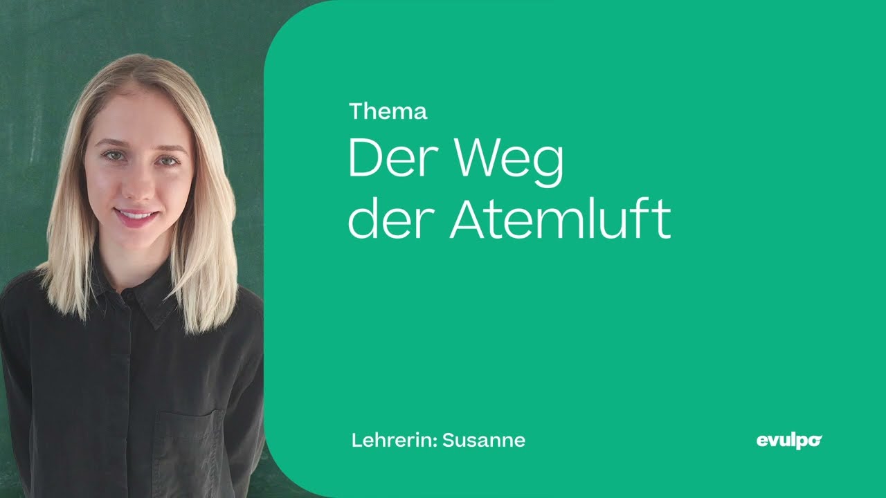 Der Weg der Atemluft & Vorgänge bei der Atmung