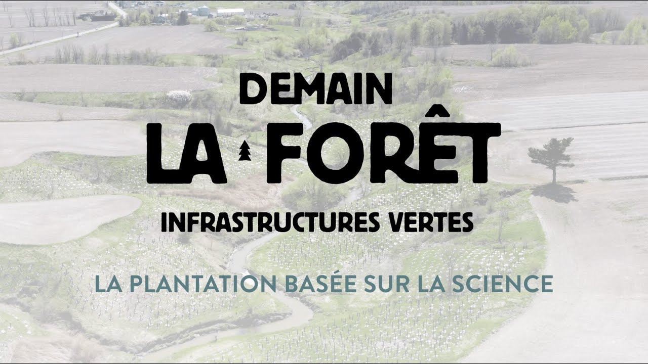 Demain la Forêt - Infrastructures vertes