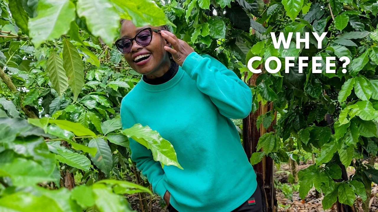 Why I Love Coffee