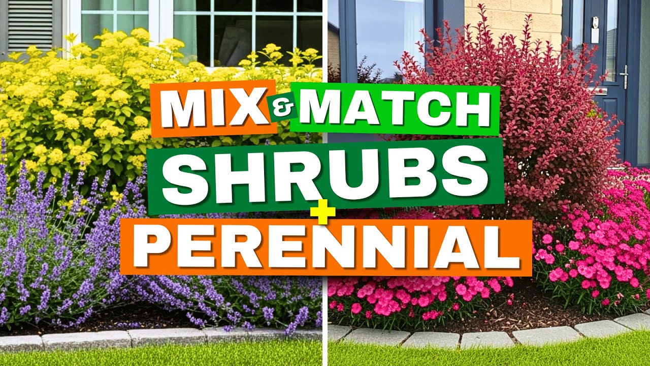 🥰 Mix & Match: Shrub + Perennial COMBOS for Tiny Borders That Pop! ❤️