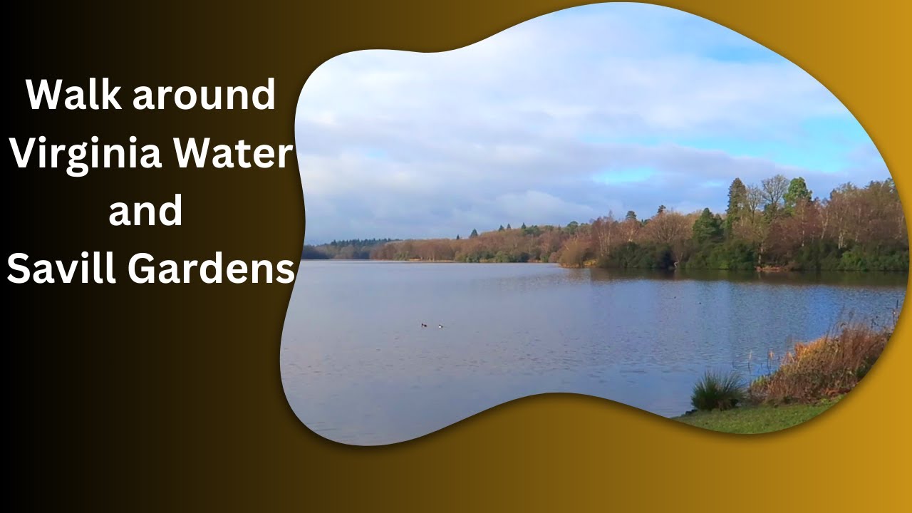 Relaxing winter walk around Virginia Water and Savill Gardens, Windsor Great Park