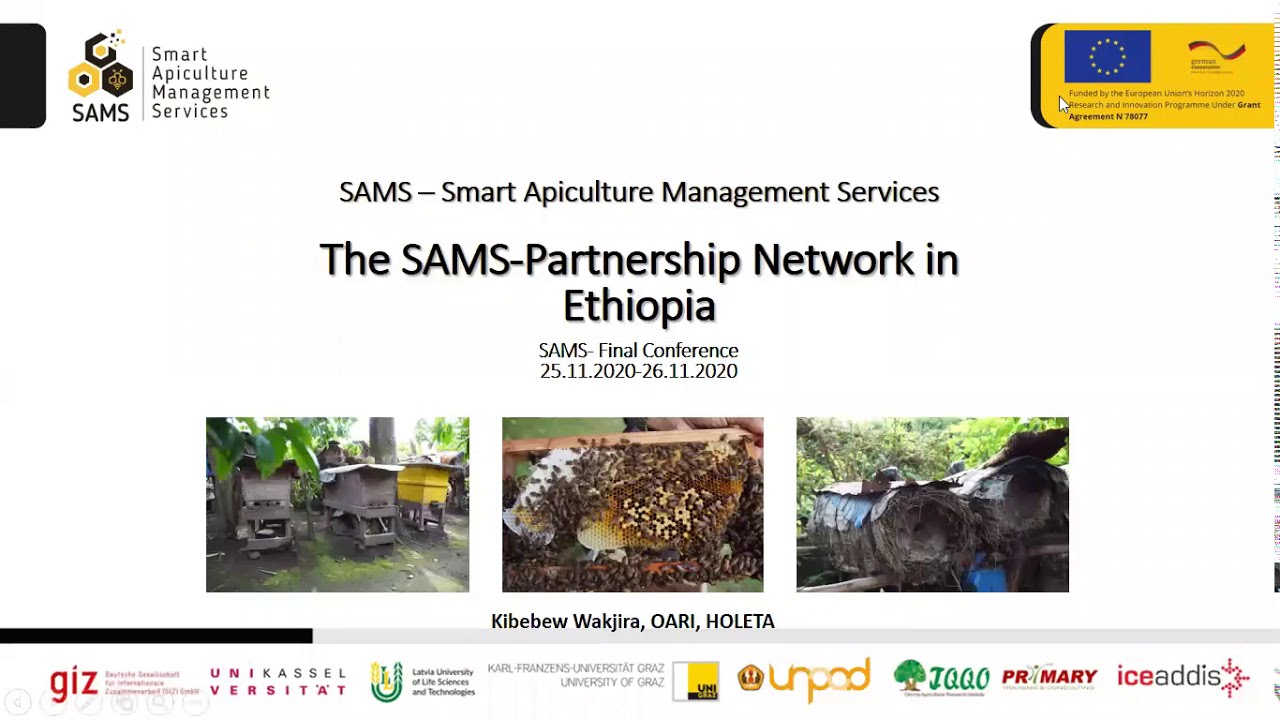 The International Partnership Network of the SAMS Project