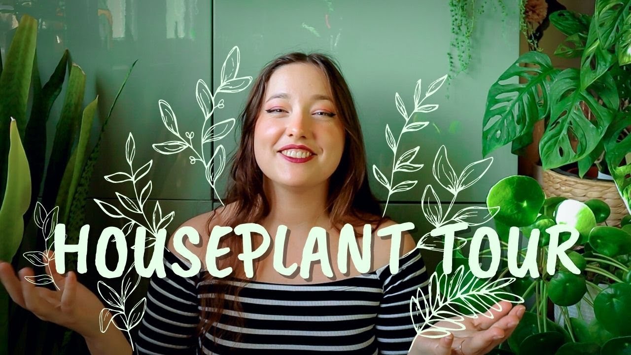 Plant Obsession || Houseplant Tour of a Crazy Plant Lady