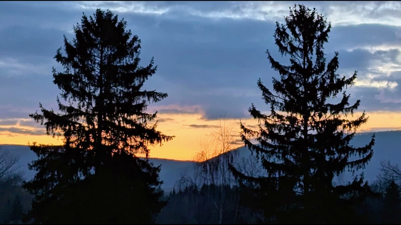 Contours in Violet Mist