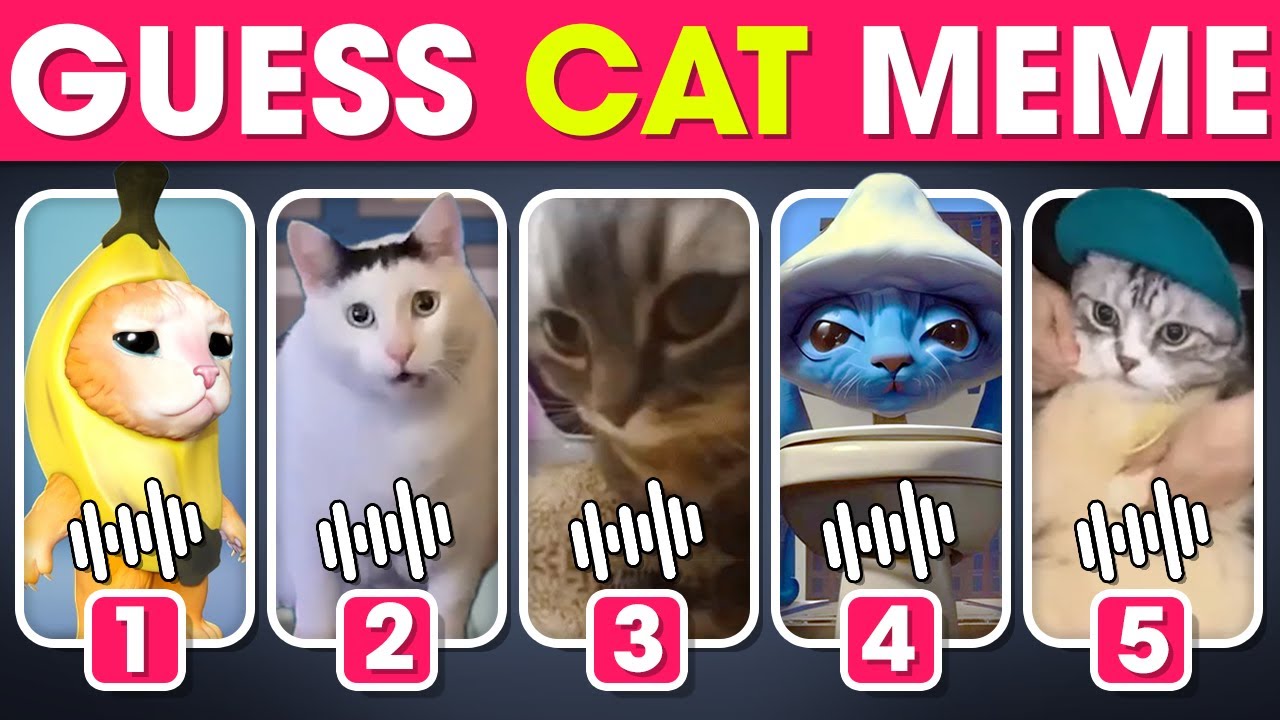 Guess Cats Meme | Chipi Chapa Cat, Banana Cat, Smurf Cat, Huh Cat...! #328