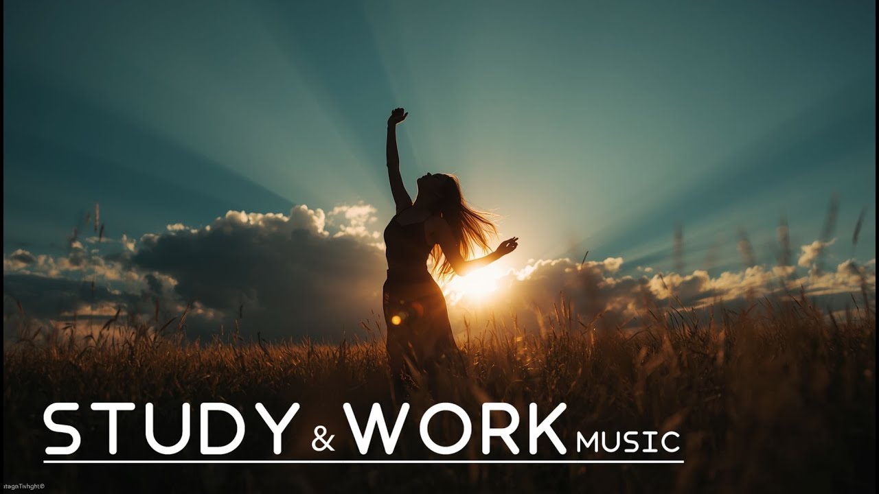 Night Work Chill Music 🌙 LoFi Beats for Focus & Relaxation