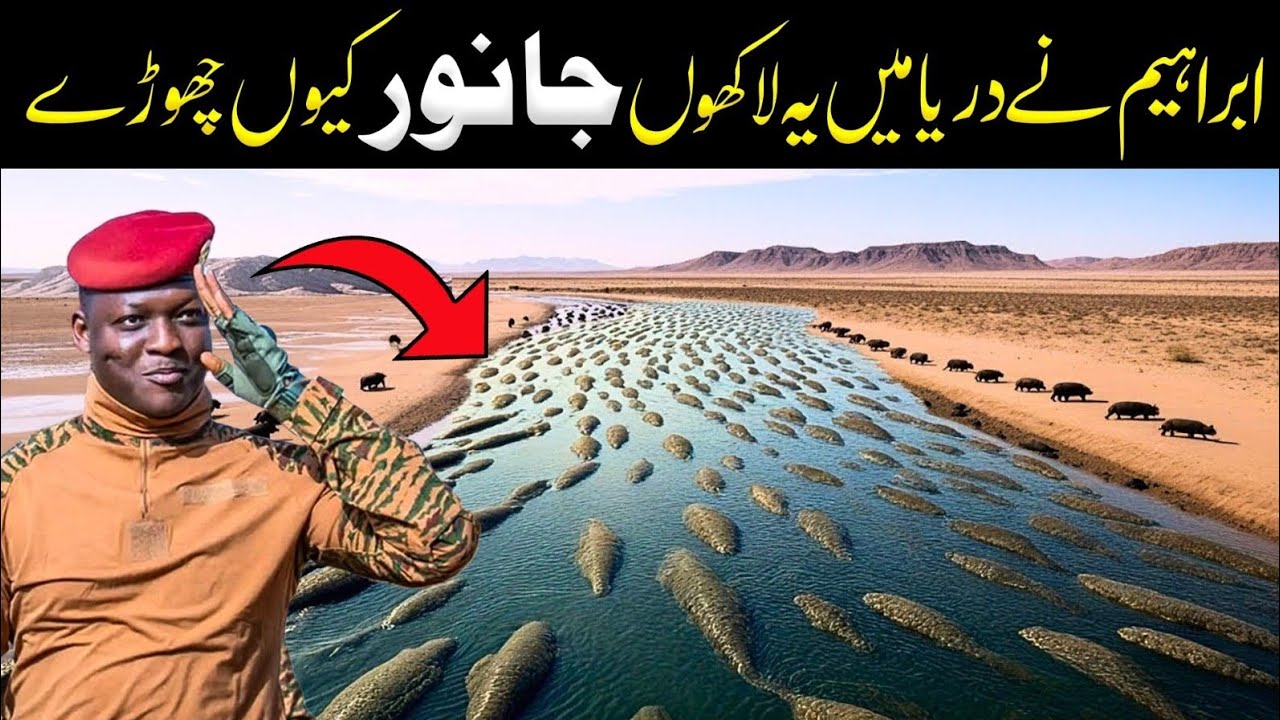 Why Did Ibrahim Release Millions of Animals Into the Artificial River? You Won’t Believe the Reason!