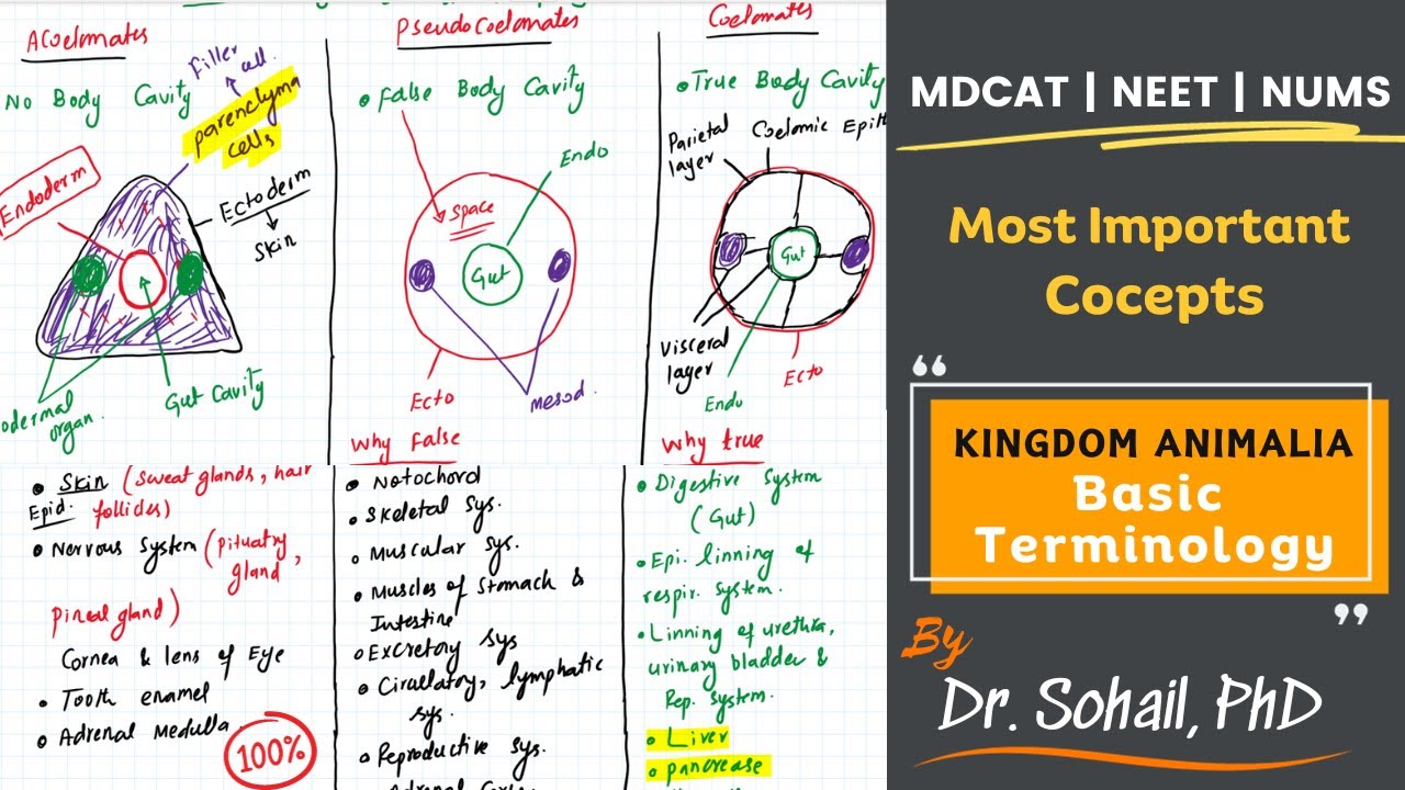 Kingdom Animalia Basic Terminology | Lecture-01 | MDCAT | NUMS | NEET
