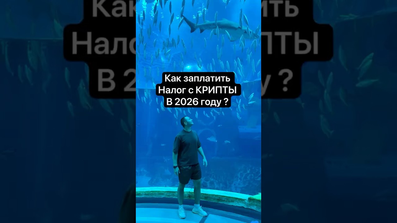 Как правильно подать налоговую декларацию, если у Вас был доход от крипты?Текст инструкция в коммент