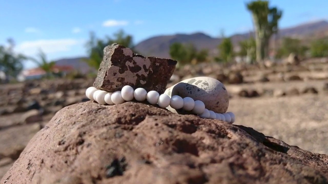 Artis Tirma Fuerteventura