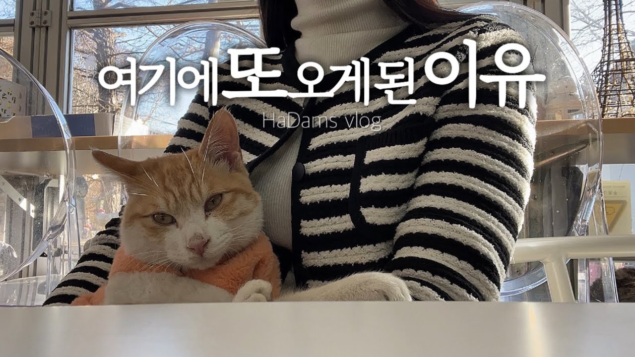 [공무원log] 친구‘0’명 초라한 ISFJ가 힐링하러 가는곳 2탄🌵 