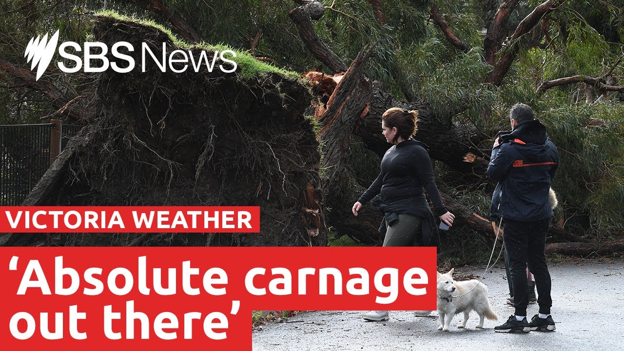 Thousands without power as extreme weather tears through Victoria | SBS News