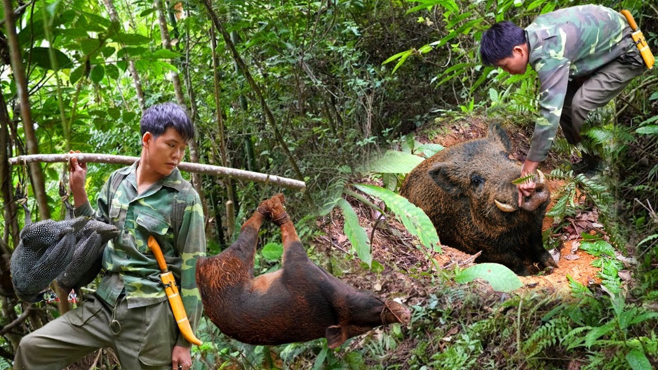 Wilderness Survival Skills: Wild Boar Tracks, Bird Signs & Forest Traps