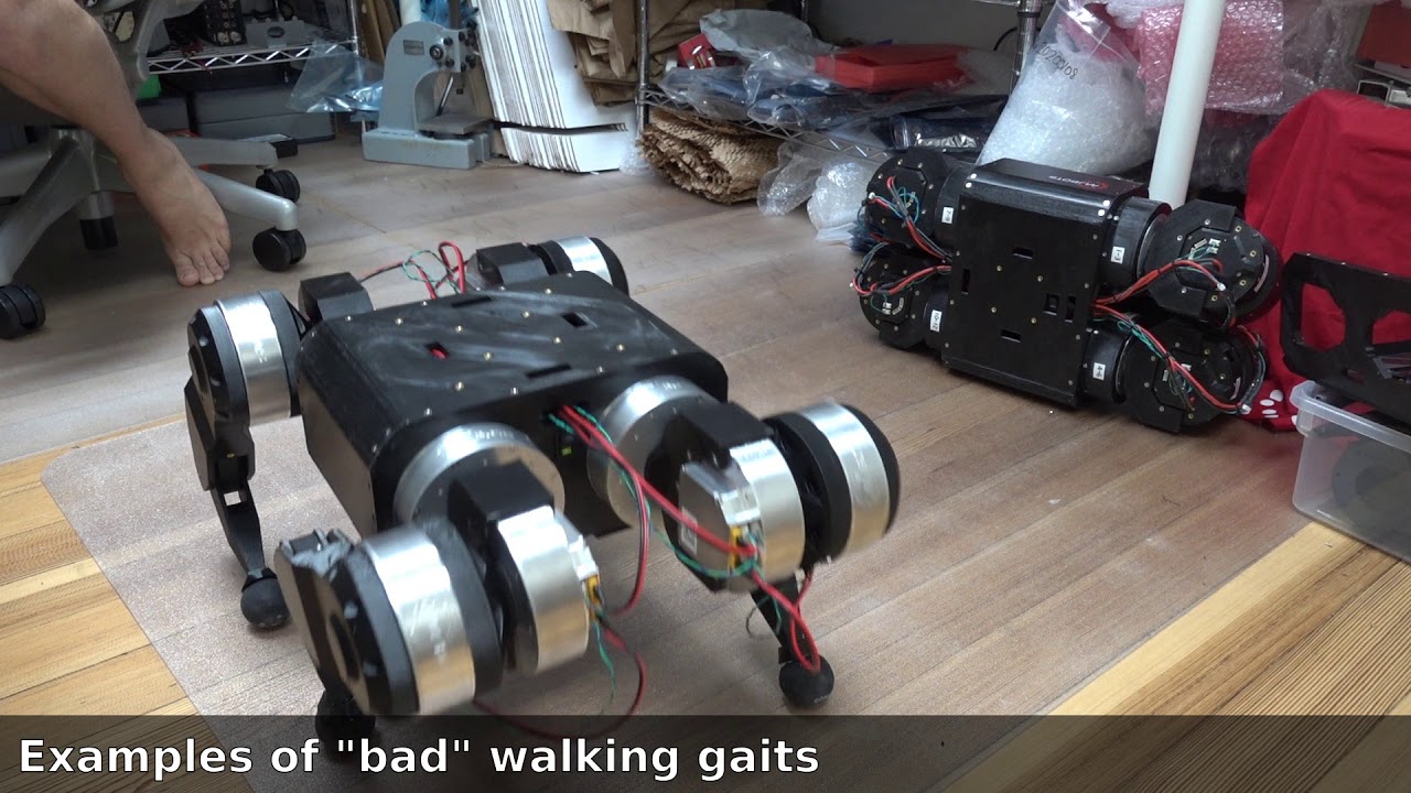 Walking gaits 