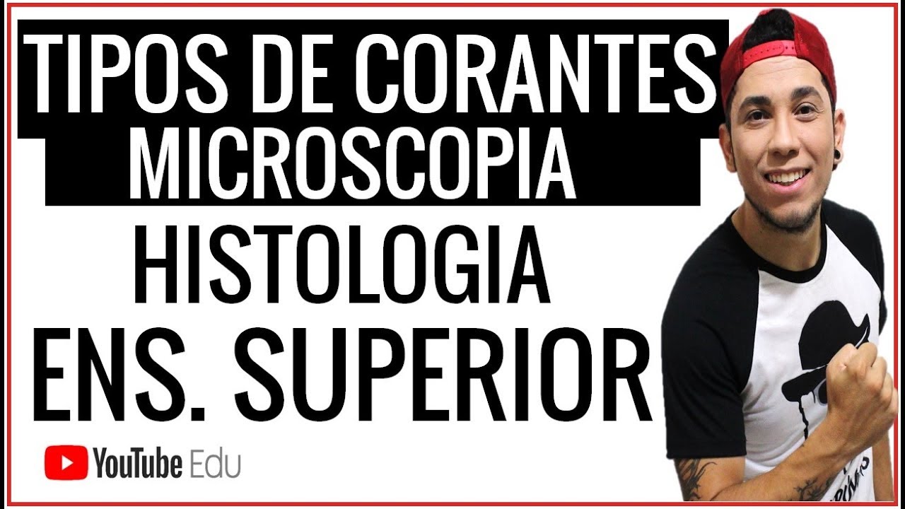 Aula: Tipos de Corantes e M&eacute;todos Gerais de Colora&ccedil;&atilde;o - Microscopia │Biolod&uacute;vidas