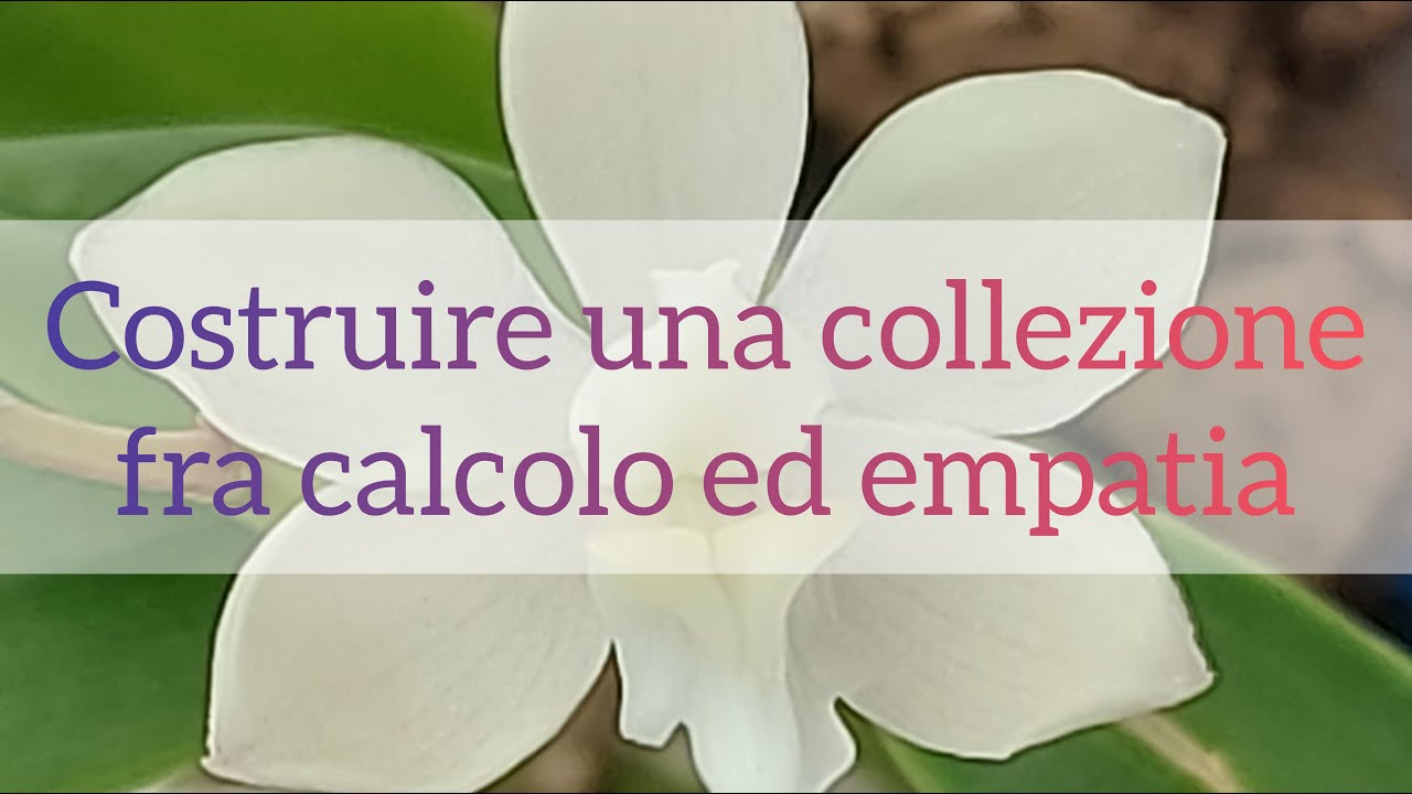 Come creare una collezione di orchidee, da una moltissime piante.