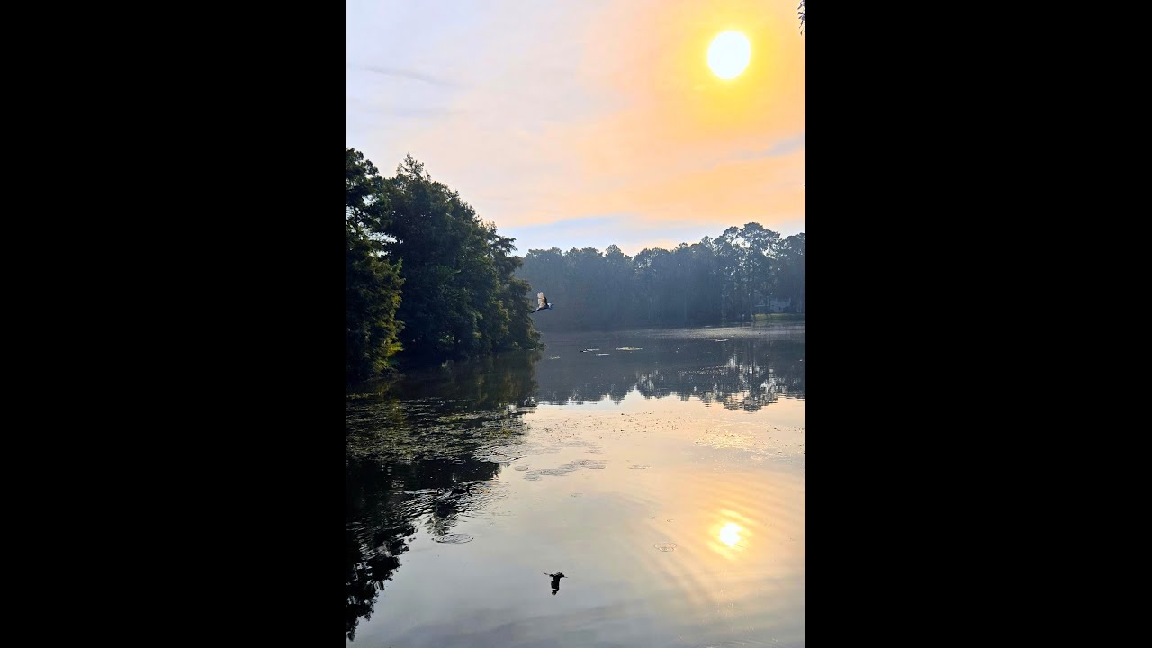 25 Minute Bike Ride   Panther Creek Village to Wedgewood Park - The Woodlands, TX Bike Trails