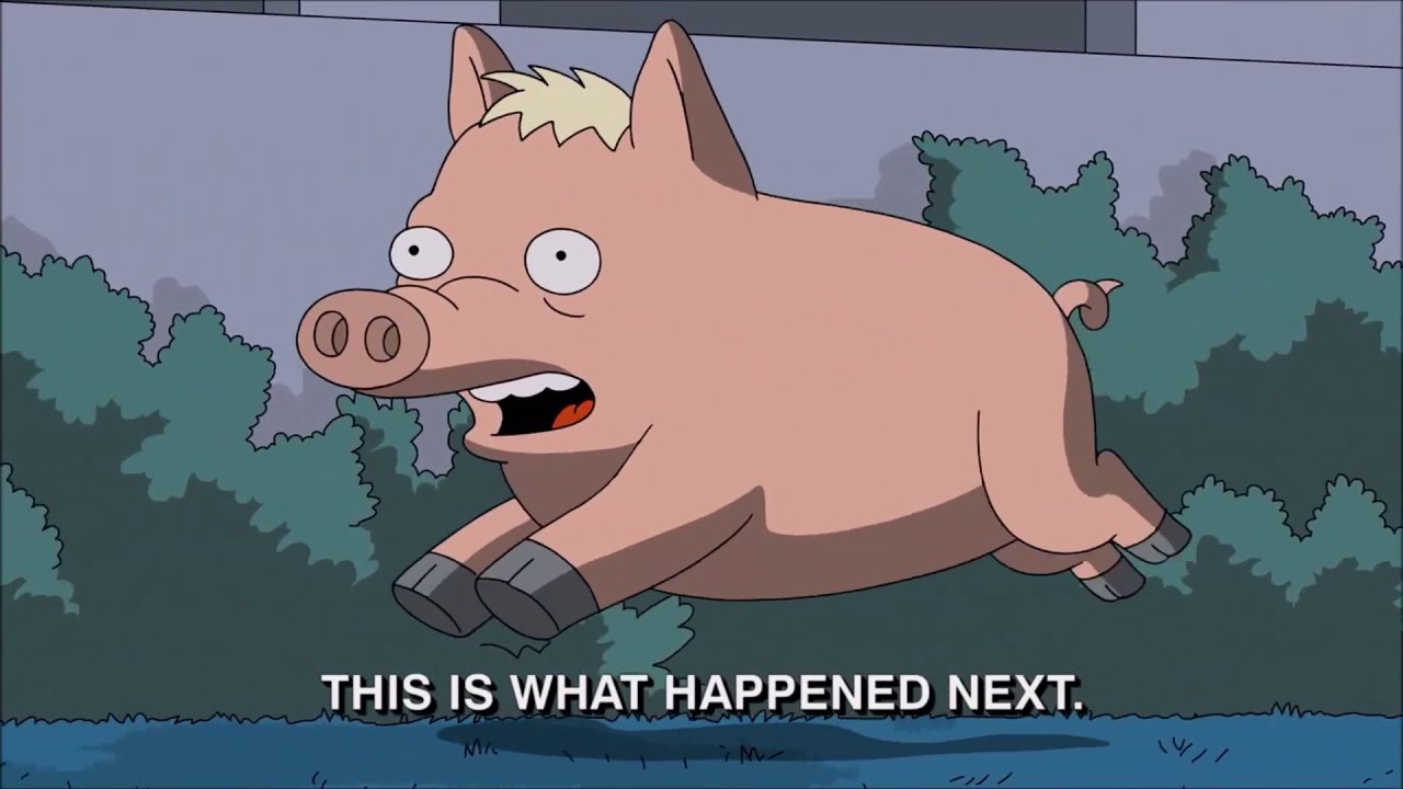 Homer and Spider Pig Together Again