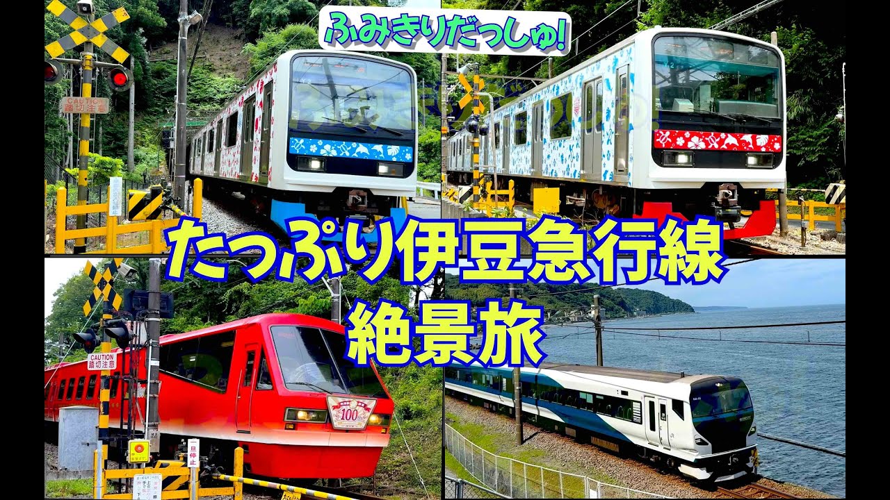 【絶景電車】人気 伊豆急行線でのんびり旅！バリエーション豊富な車両撮り鉄&乗り鉄旅 東急 特急 踊り子 アロハ電車 E257系 リゾート21 踏切  サフィール train railway