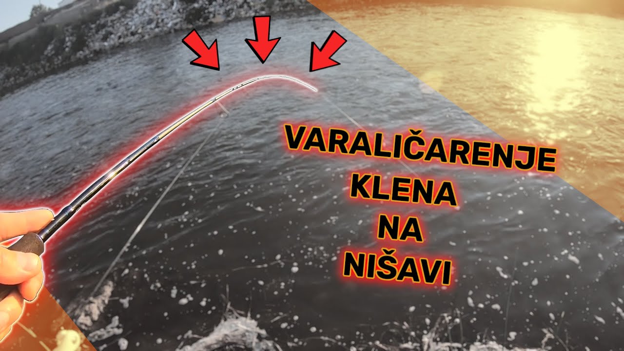 Urban Fishing Niš Serbia / Pecanje u centru Niša [2020]