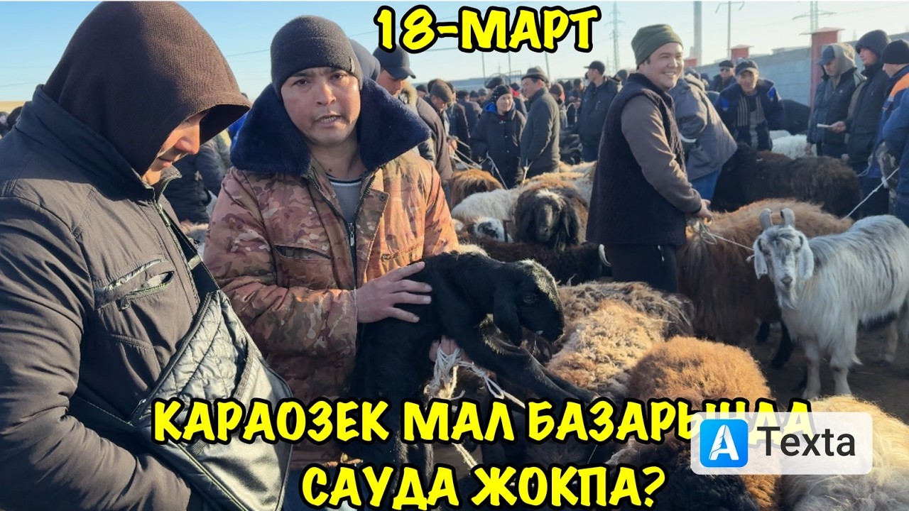18-МАРАТ/2026/КАРАОЗЕК МАЛ БАЗАРЫ/ДЕМ БЕРМЕС МАЛ БАЗАР/МАЛ БАЗАР 2026/СКОТНЫЙ РЫНОК