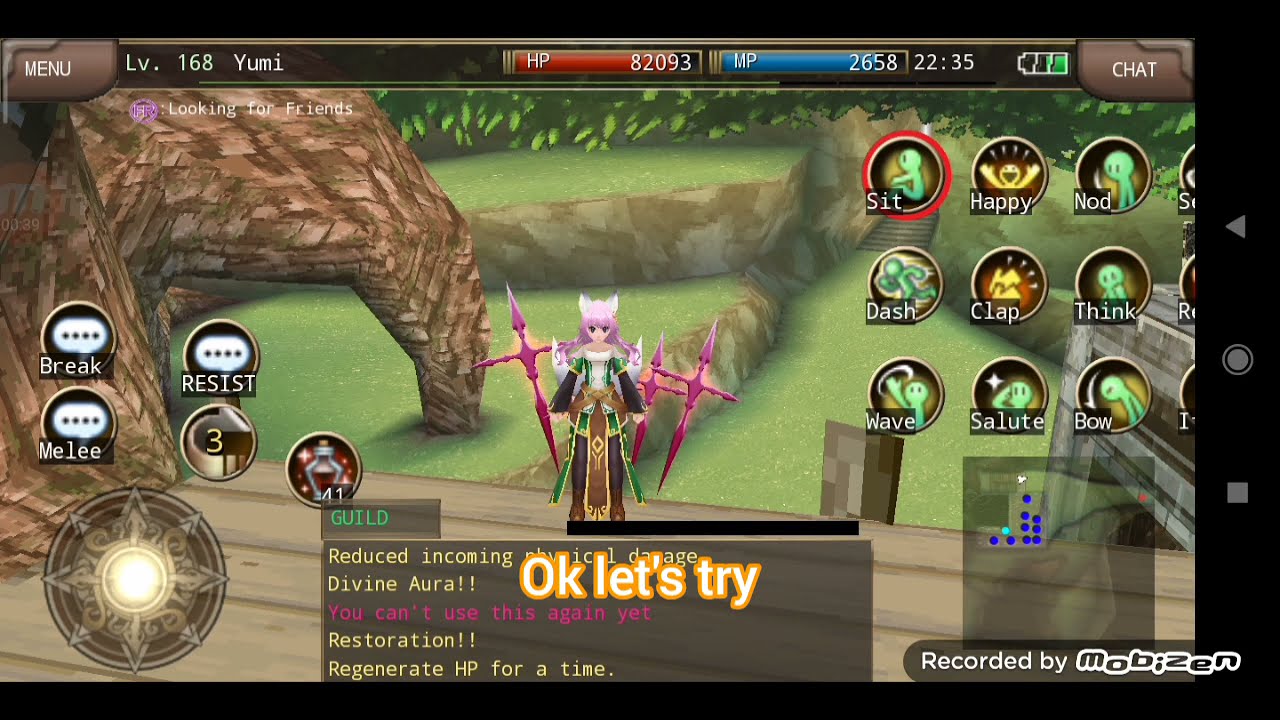 Iruna Online | Paladin Guardian Using Enormous Axe
