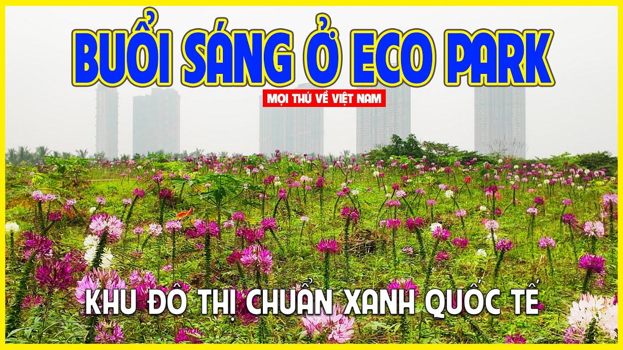 KHU ĐÔ THỊ ECO PARK | DẠO BƯỚC KHU ĐÔ THỊ NHÀ GIÀU VÀO BUỔI SÁNG | Hưng Yên ngày nay