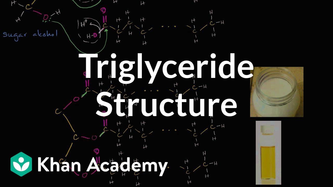 Struktura molekularna trigliceryd&oacute;w (tłuszcz&oacute;w) | Biologia | Khan Academy