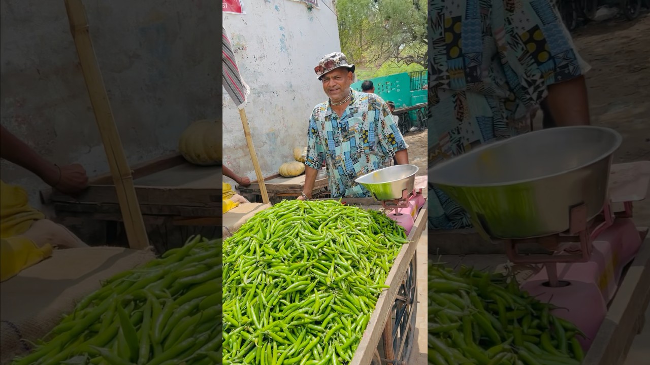 लेलो हरी मिर्च 