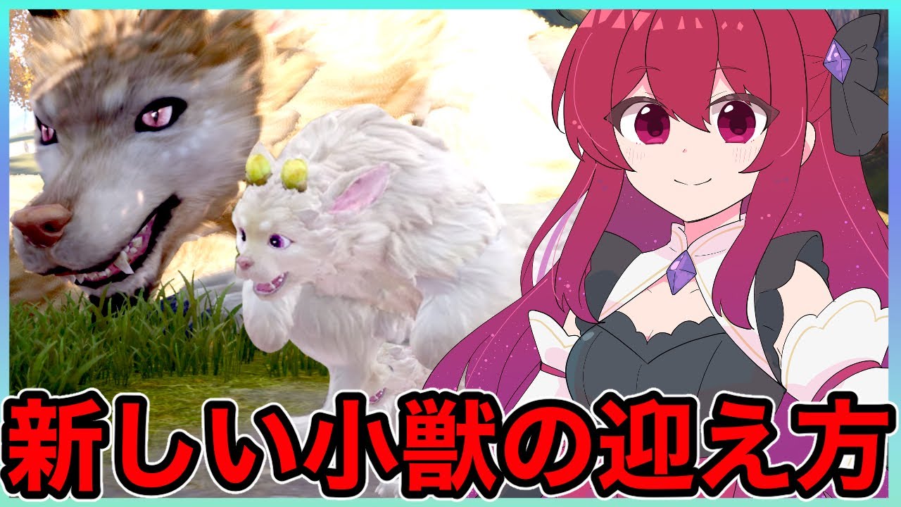 【インフィニティニキ】新しい小獣の迎えかた🎉✨