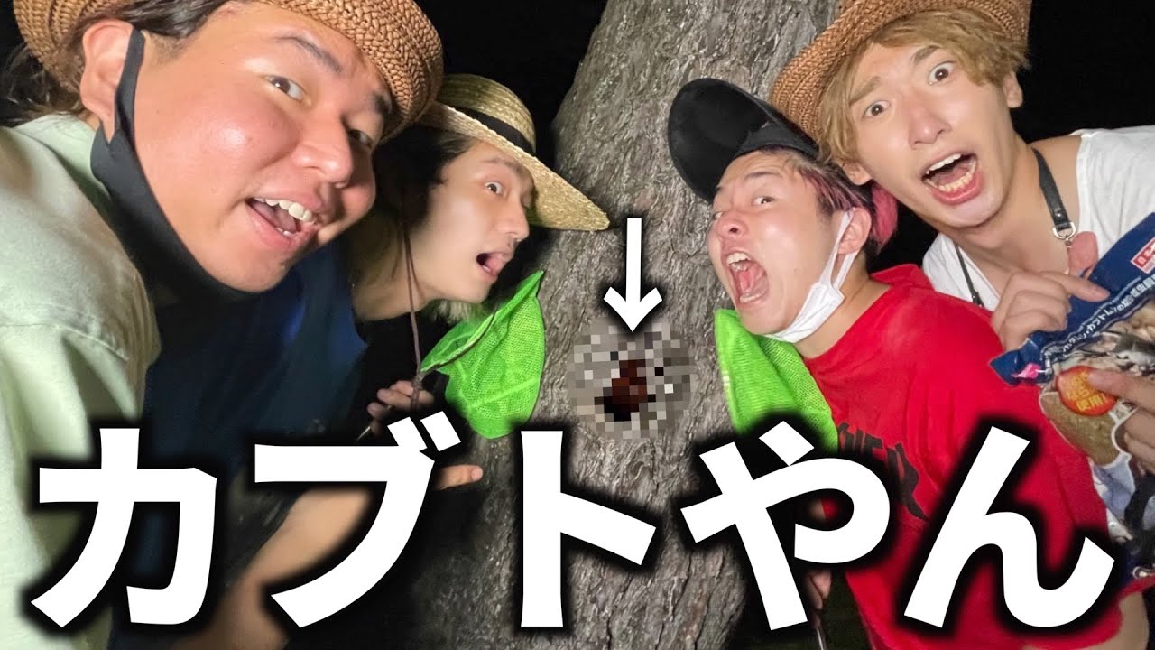 【男の夢】カブトムシ採りで奇跡が起こりました。