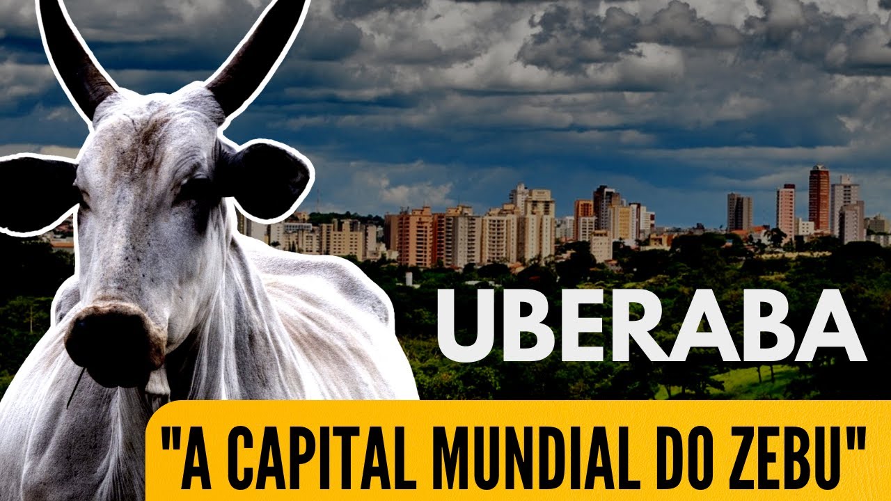 É BOM MORAR EM UBERABA MG ? Descubra se Realmente Vale a Pena Viver nessa cidade!