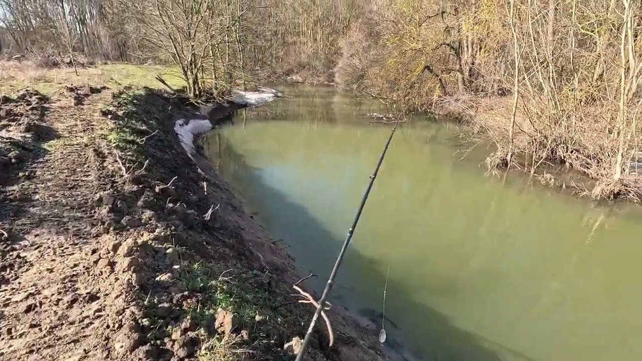 Pescuit, Neajlov, Ianuarie, 2026, Natură, Dronă, Căprioare, Bulbucata, Iepurești #pescuit #drone #4k