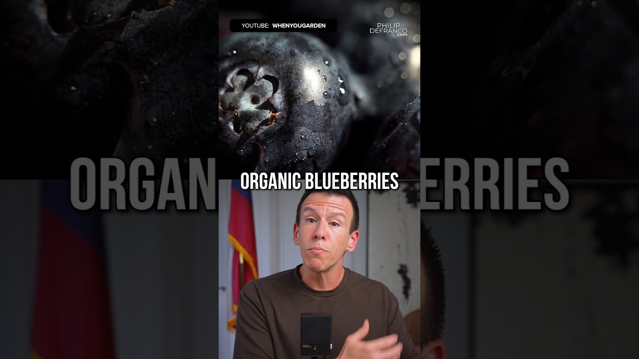 FOOD WARNING: This Time Blueberries Have the Highest Safety Concerns