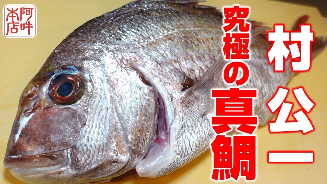 【名人】漁師 村公一の真鯛入荷！
