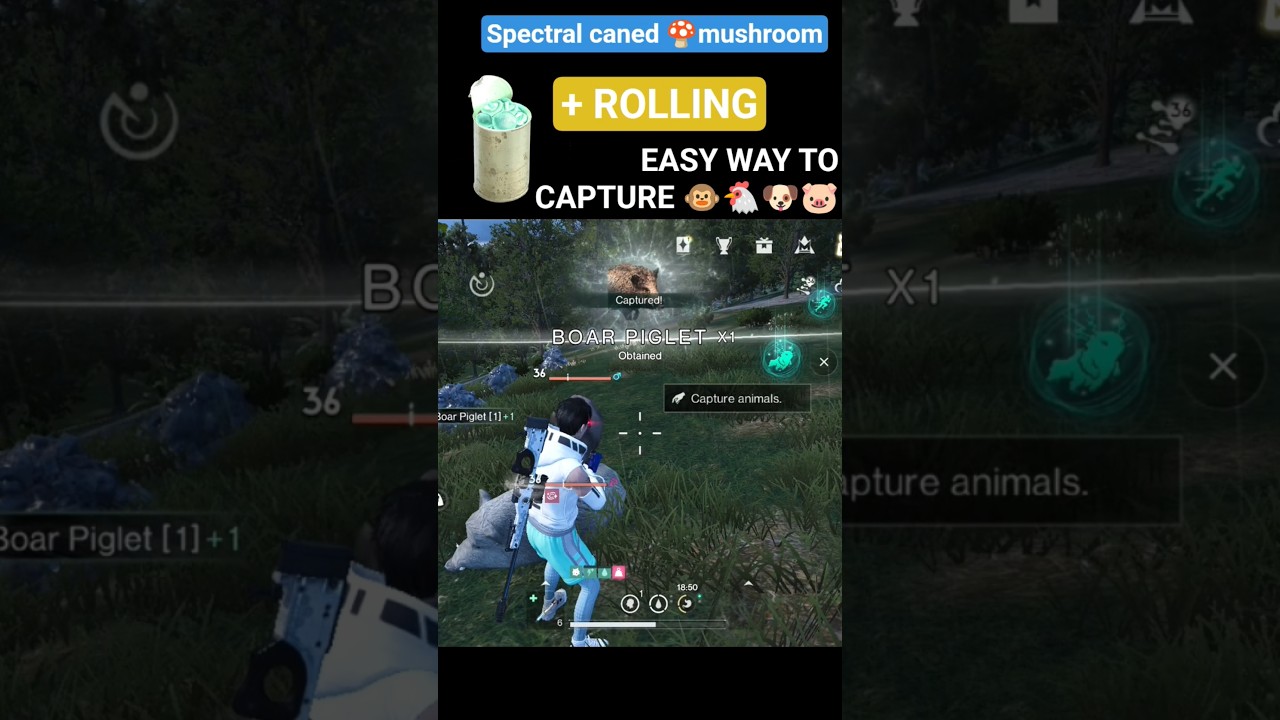Быстрый отлов животных 😳 | Секретный трюк, когда-то придуманный человеком