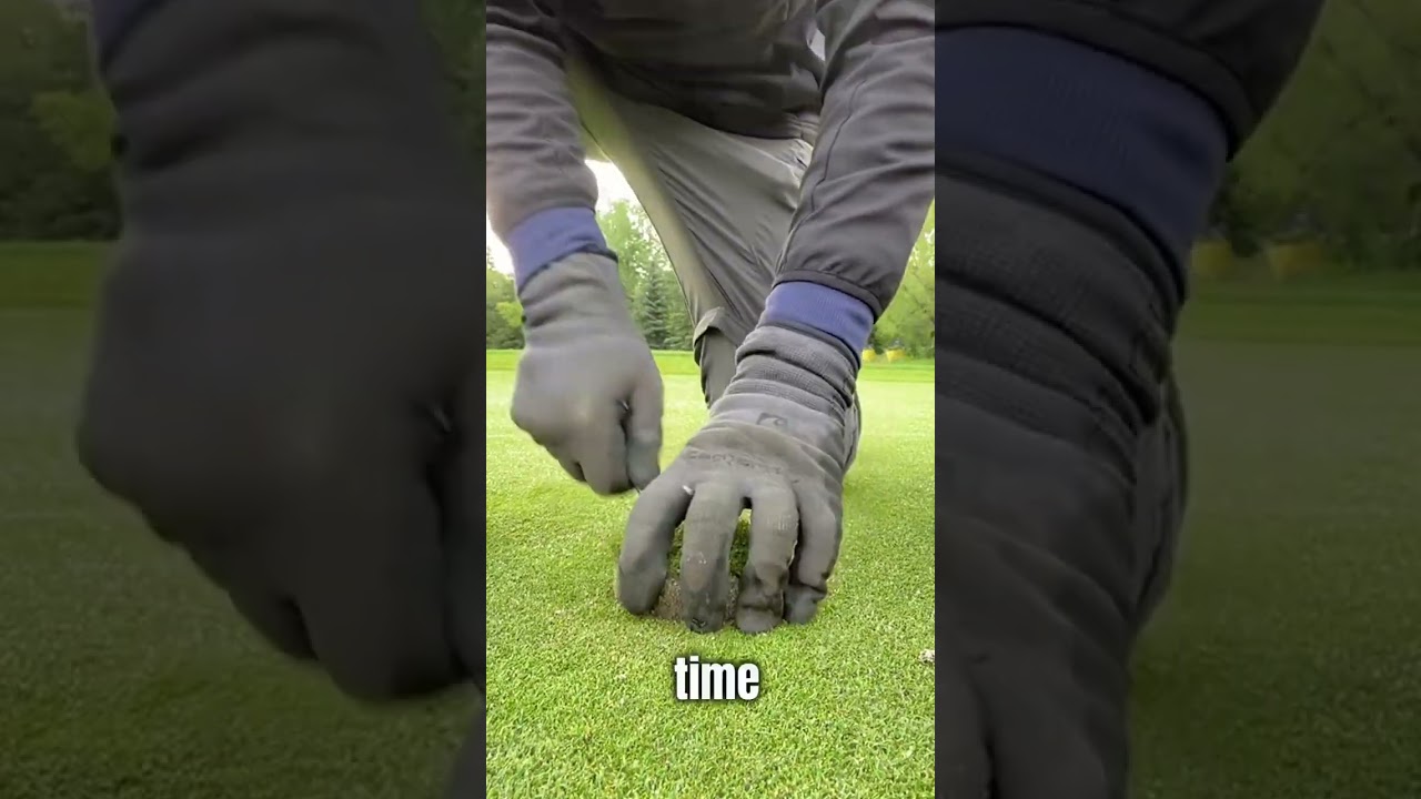 The Most Satisfying Job in the World