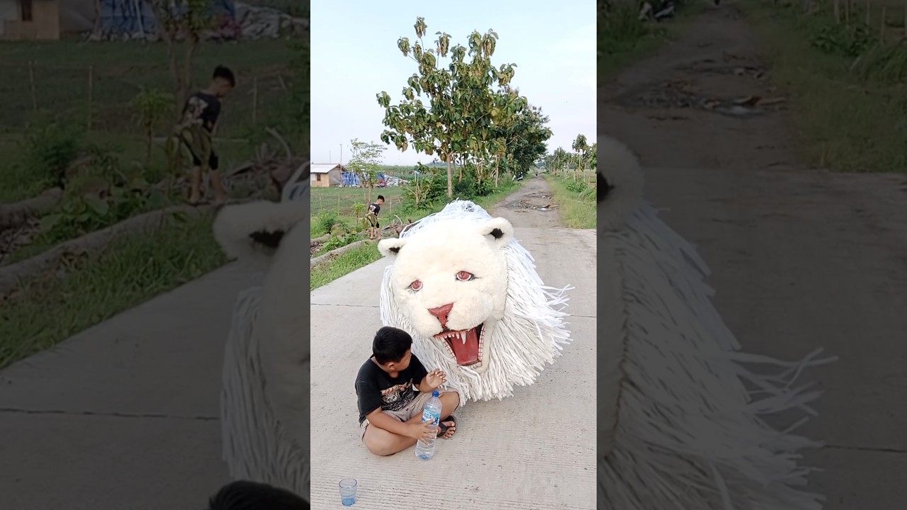 Noval duduk dijalan kasih minum sambil jinakin can macanan