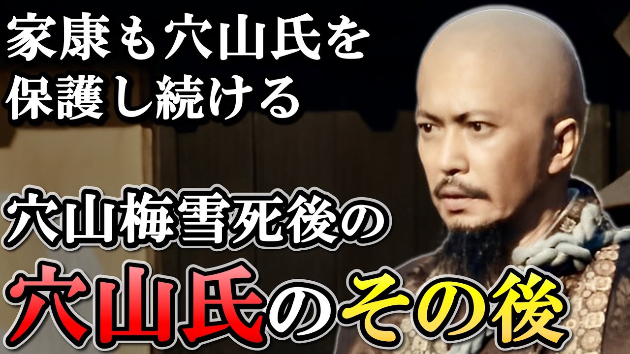 穴山氏のその後  家康に守られながら武田の名跡を残すも当主の早死が続く【どうする家康】