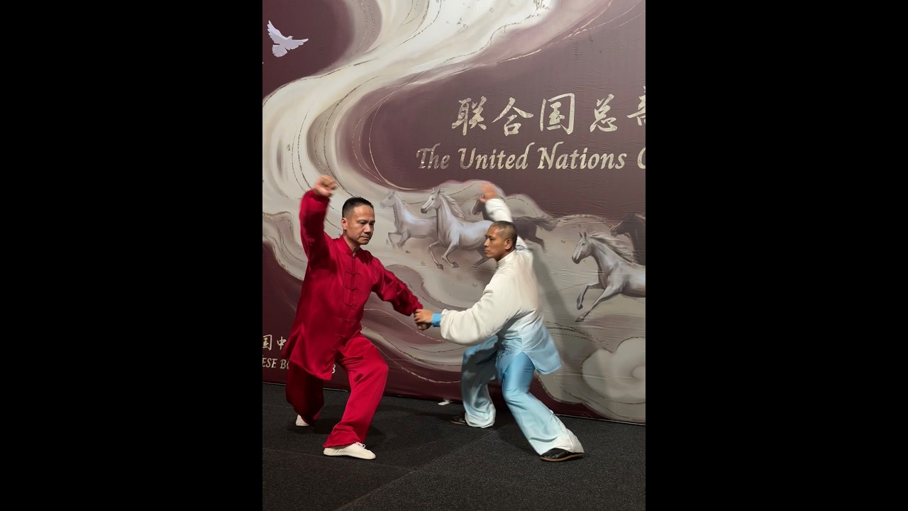 Tai Chi at United Nations Chinese New Year Gala 2026 联合国总部2026年春晚太极表演