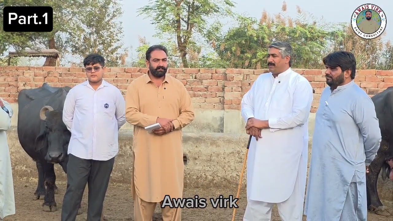 Haji Iftkhar bagri sb world Champion 🏆 Part1