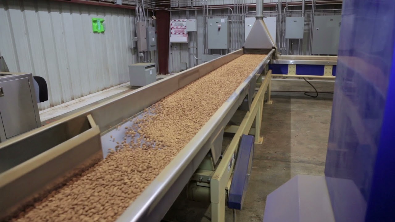 Almond Kernel Processing at RPAC
