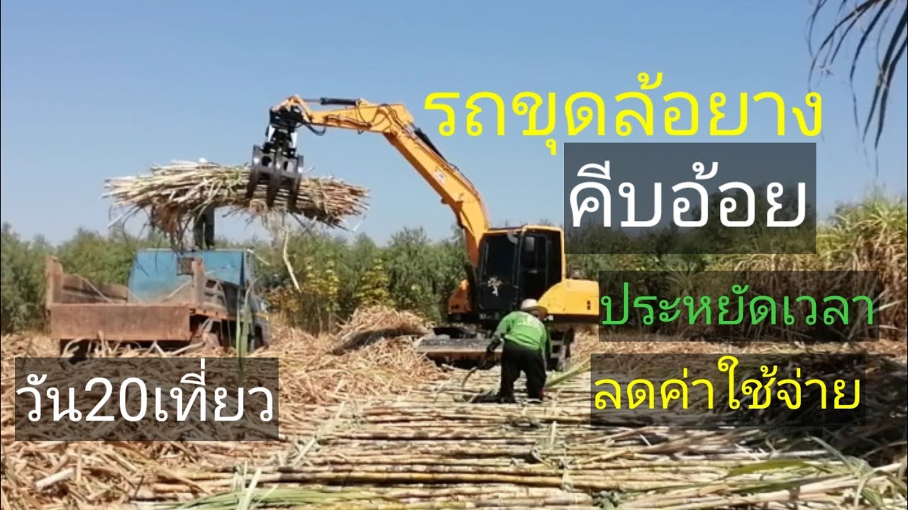 รถขุดล้อยางคีบอ้อย​ แปลง14ไร่