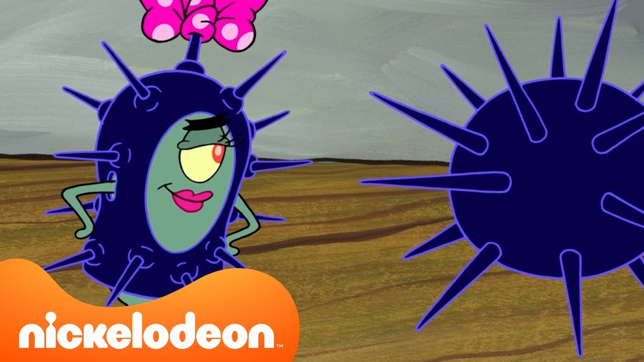 Bob Esponja | El Crustáceo Cascarudo es dominado por ERIZOS DE MAR 😱 | Nickelodeon en Español