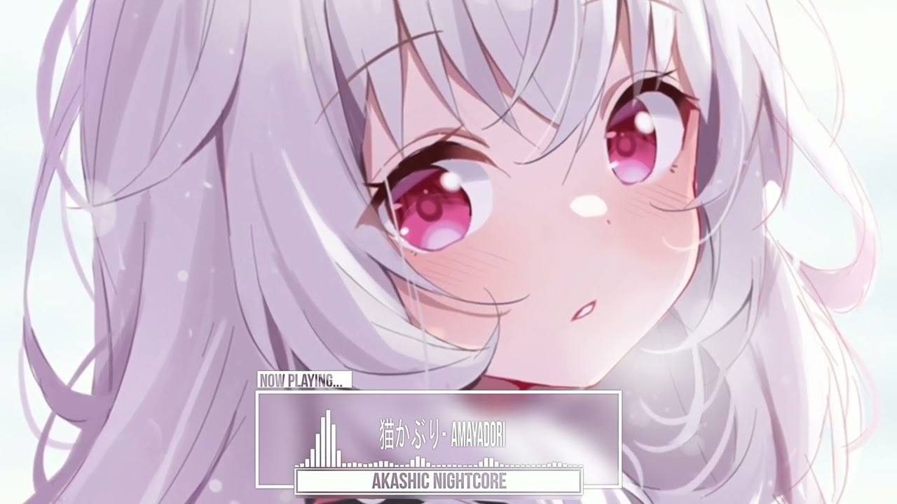 [ Nightcore ] Nekokaburi / 猫かぶり - Amayadori (雨宿り)
