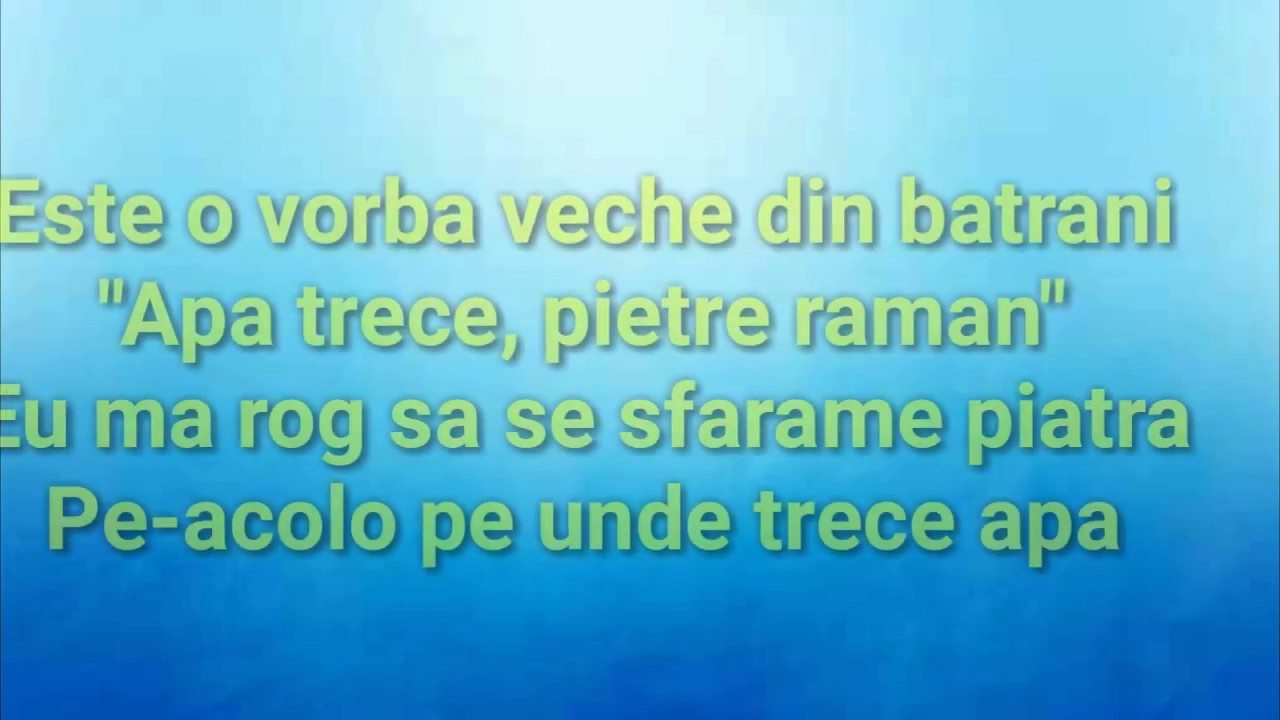 MULTE INIMI AZI IN ADUNARE   NEGATIV ORIGINAL   DANIEL DINESCU & RAIMOND