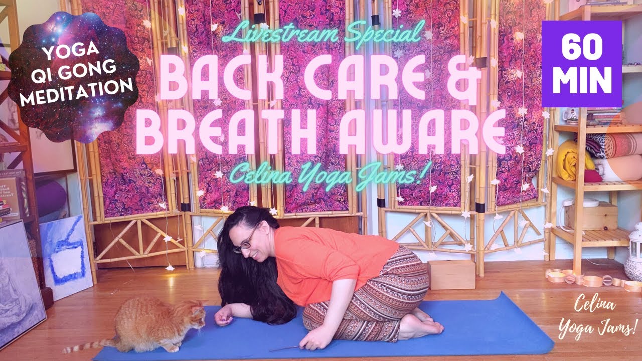 Back Care #134 Gentle Yoga & Qi Gong